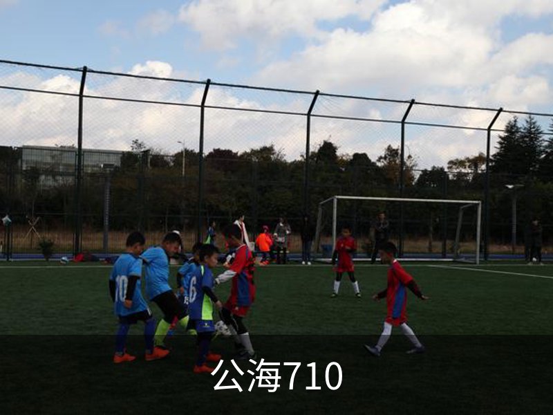 公海710概况